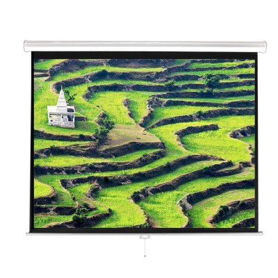 Cheap Price 100''  Manual Self-lock commercial retractable projection screen