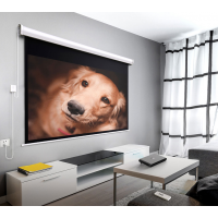 80 Inch FJ-9  Arc Housing Motorized Projection screen