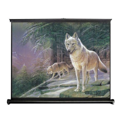 Future Table-Top Portable Projector Screen - Mobile Movie Screen, Home Theater Cinema Office