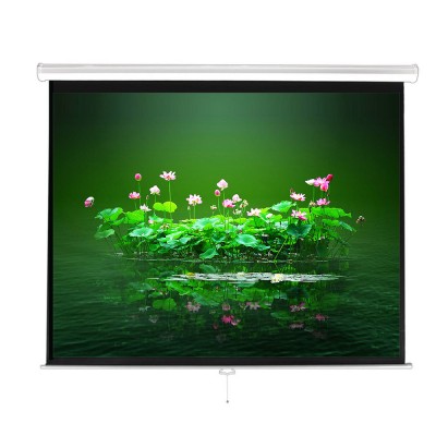 70*70 Visual Apex Projector Screen Manual Movie Theater Projector Screen 16:9 format